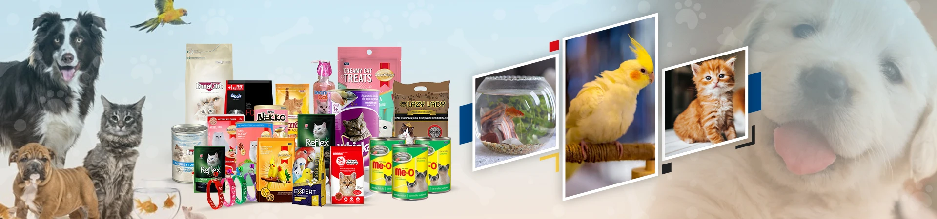 PawLux BD Hero Slider