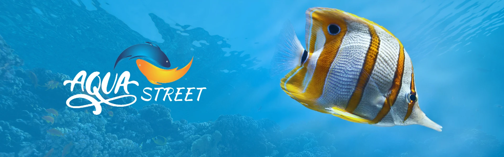 PawLux BD Hero Slider